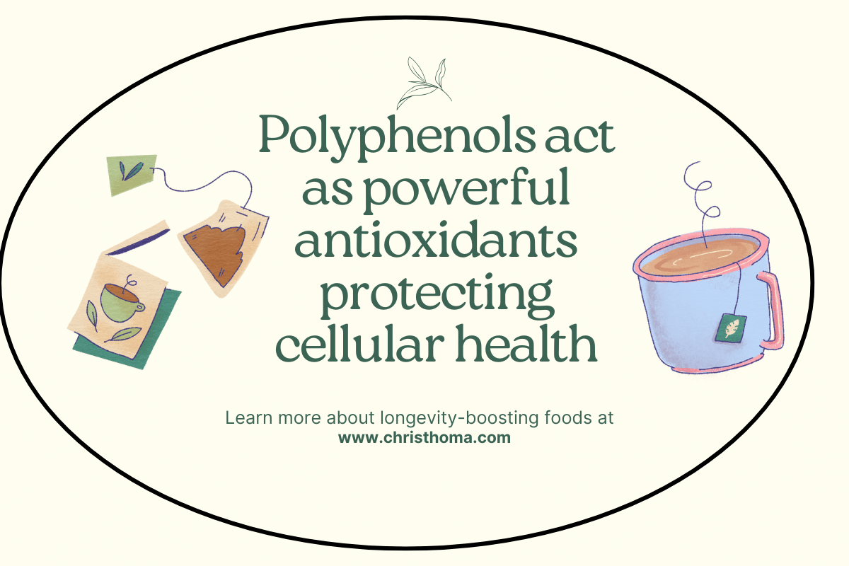 Illustration of tea bags and a steaming cup of tea with the text: Polyphenols act as powerful antioxidants protecting cellular health