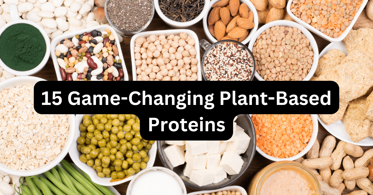 15 best plant-based protein sources including chickpeas, quinoa, chia seeds, lentils, almonds, and tofu - complete guide to affordable vegan proteins available at Thrive Market