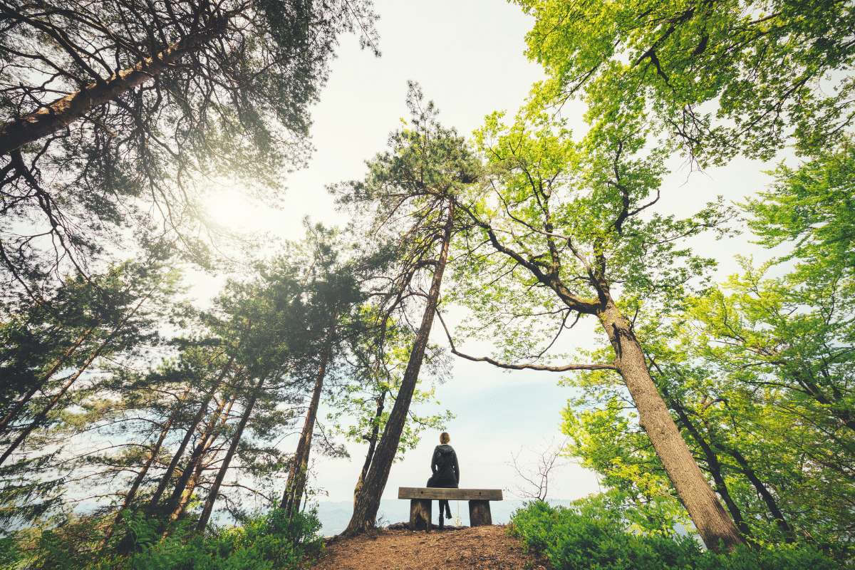 person sitting on bench in nature practicing mindfulness and being present.