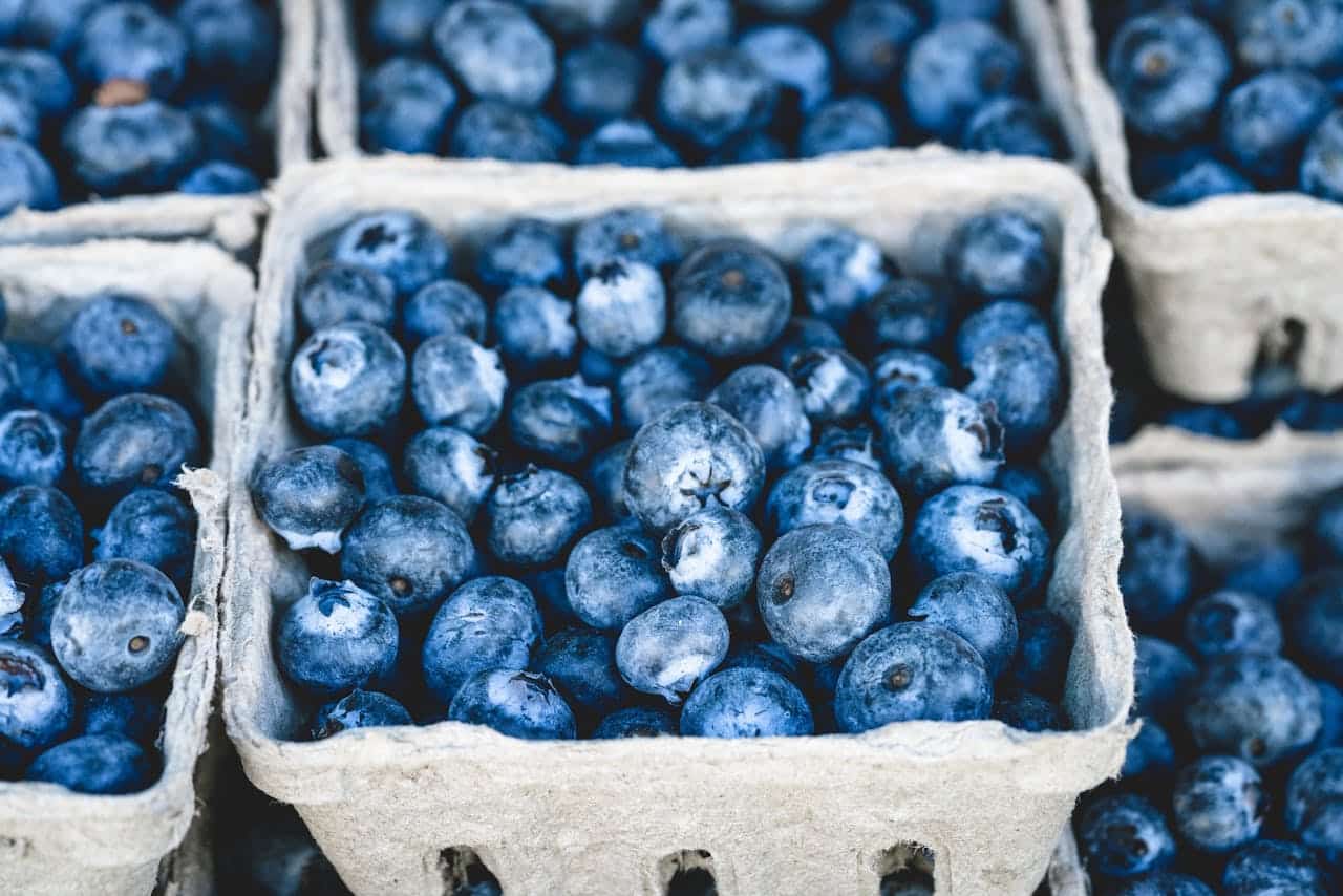 Blueberries rich in antioxidants and anthocyanins to reduce inflammation and promote longevity