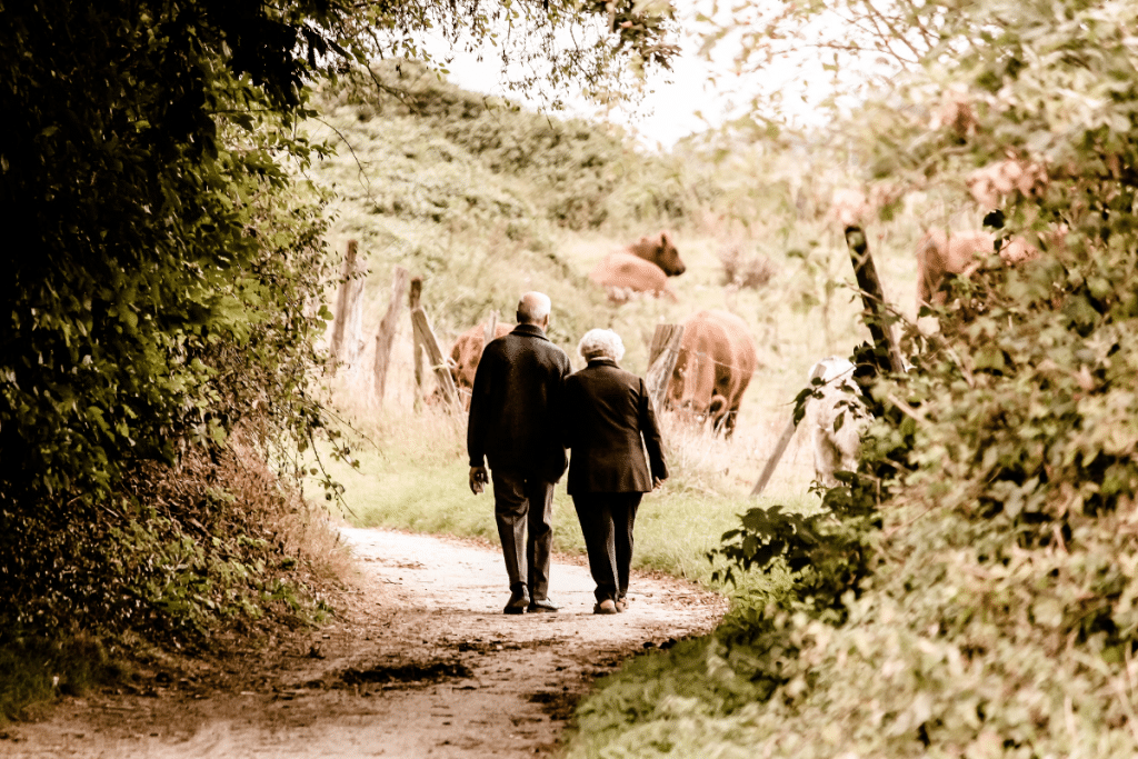 An elderly couple walking hand in hand along a scenic countryside path, surrounded by lush greenery and grazing cows.