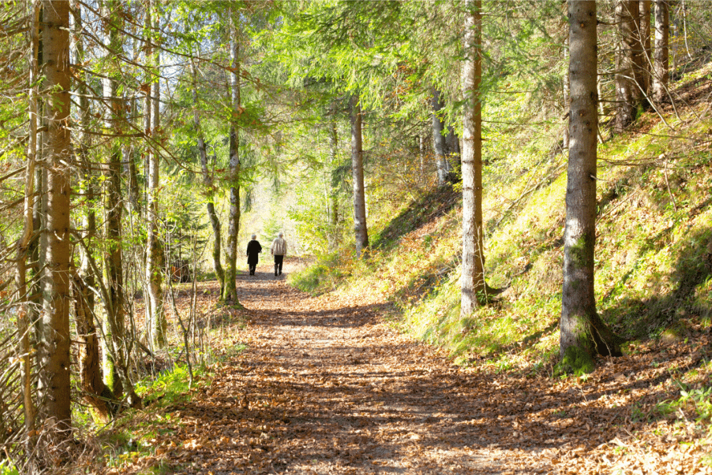 Two people walking on a sunlit forest trail surrounded by trees, demonstrating natural dopamine-healthy activities away from screens.
