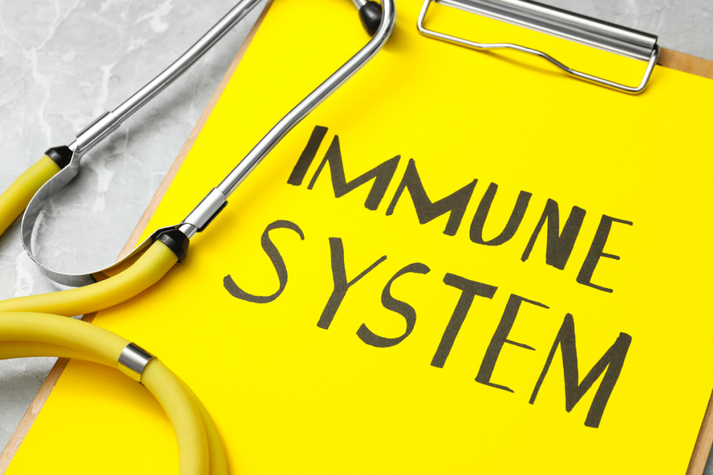 A bright yellow clipboard with "IMMUNE SYSTEM" written in bold letters, accompanied by a stethoscope, symbolizing the role of sunlight in strengthening immunity.