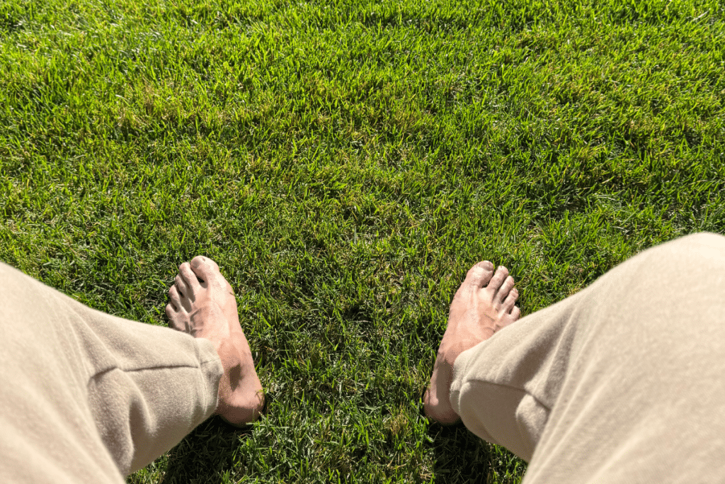 Barefoot person practicing grounding therapy on lush green grass, viewed from above with feet directly connecting to Earth's surface.
