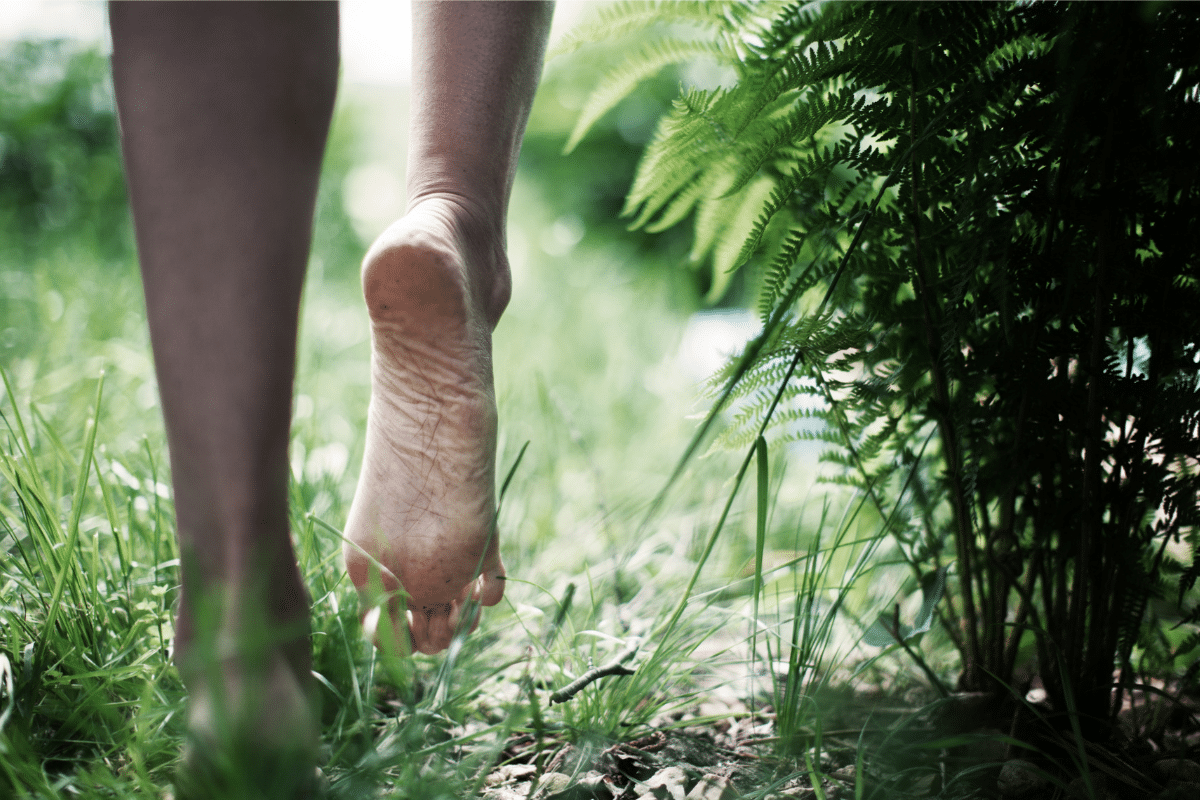 Bare foot walking on lush grass and natural terrain amid ferns, demonstrating grounding practice in a forest environment.