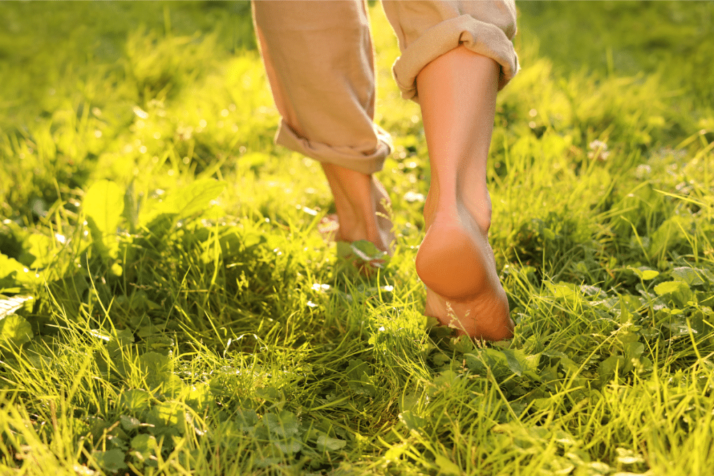 Close-up of a person walking barefoot through fresh, sunlit grass, beginning their grounding practice.