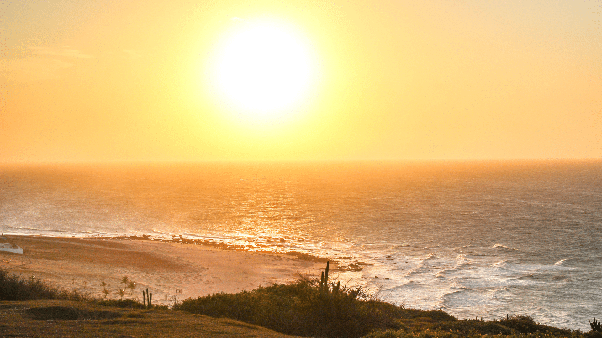 Golden sunrise over the ocean and coastline, symbolizing natural energy, healing, and a fresh start for longevity and well-being.